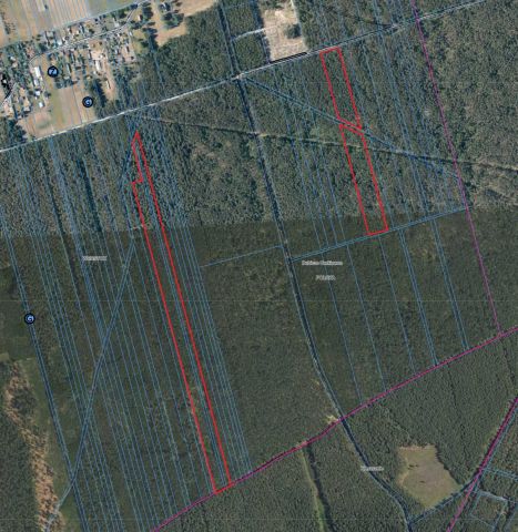 Działka leśna Werstok. Zdjęcie 1