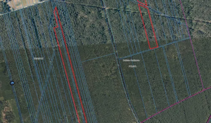 Działka leśna Werstok