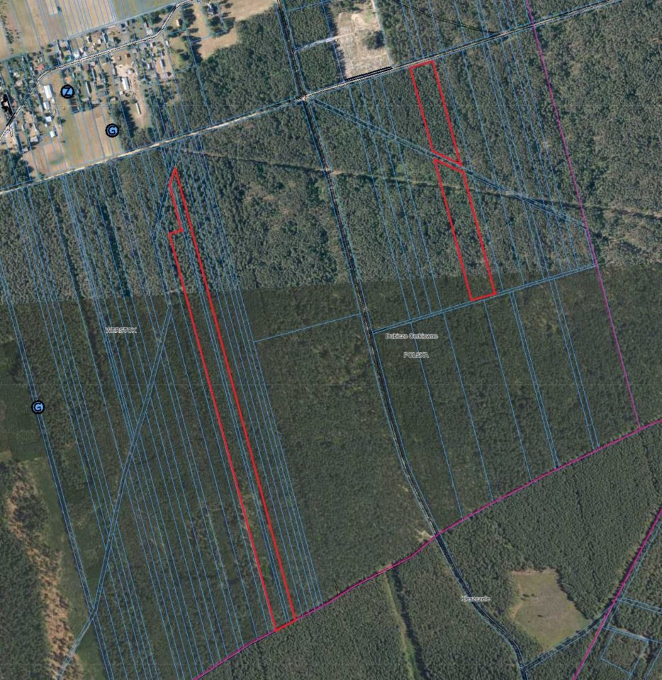 Działka leśna Werstok. Zdjęcie 1