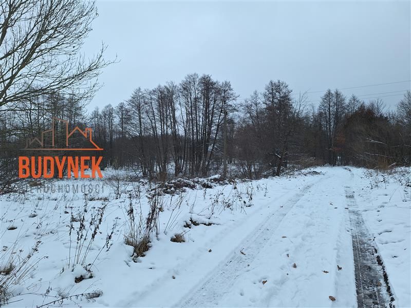 Działka rolna Przystawy. Zdjęcie 7