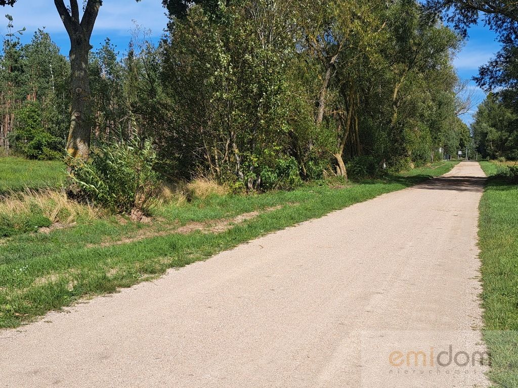 Działka inwestycyjna Szafranki. Zdjęcie 8