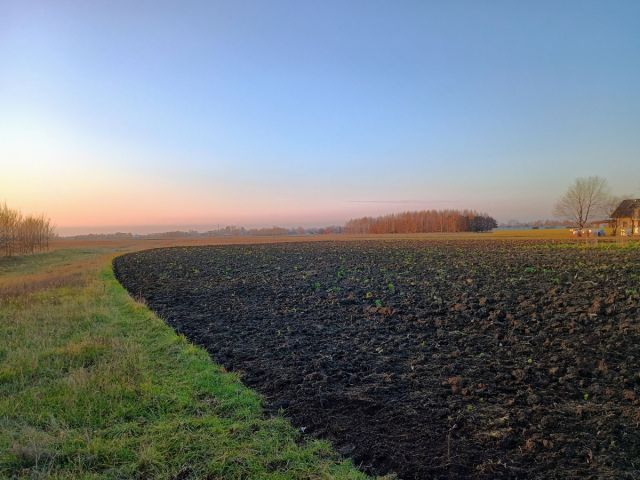 Działka rolno-budowlana Dębina. Zdjęcie 1