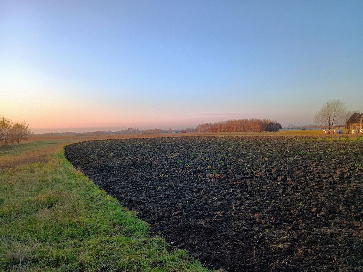 Działka rolno-budowlana Dębina