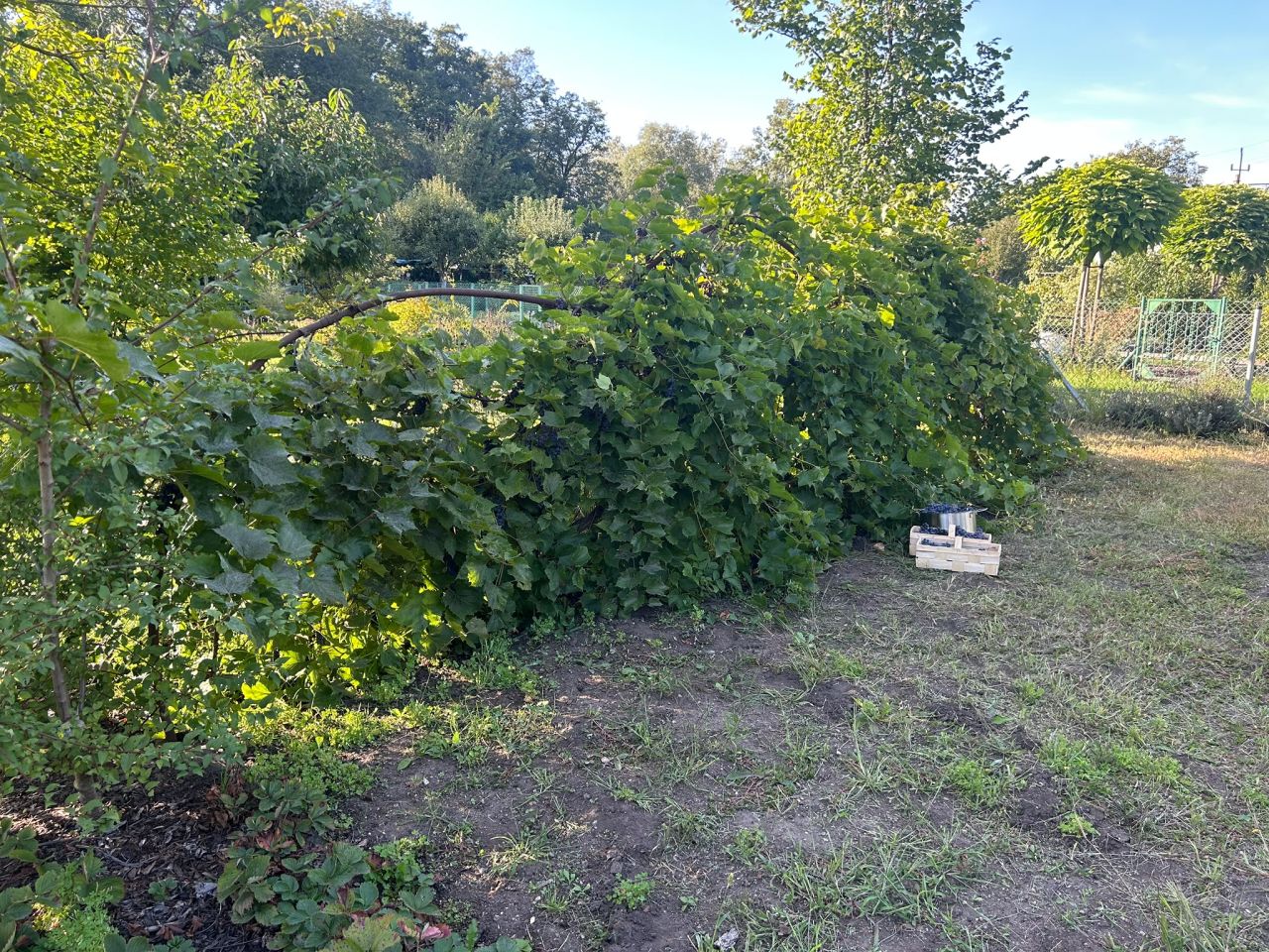 Działka rod Wrocław Kuźniki, ul. Koszalińska. Zdjęcie 6