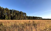 Działka budowlana Mikorzyce. Zdjęcie 2