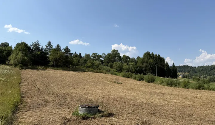 Działka rolna Makowa Makowa Rustykalna