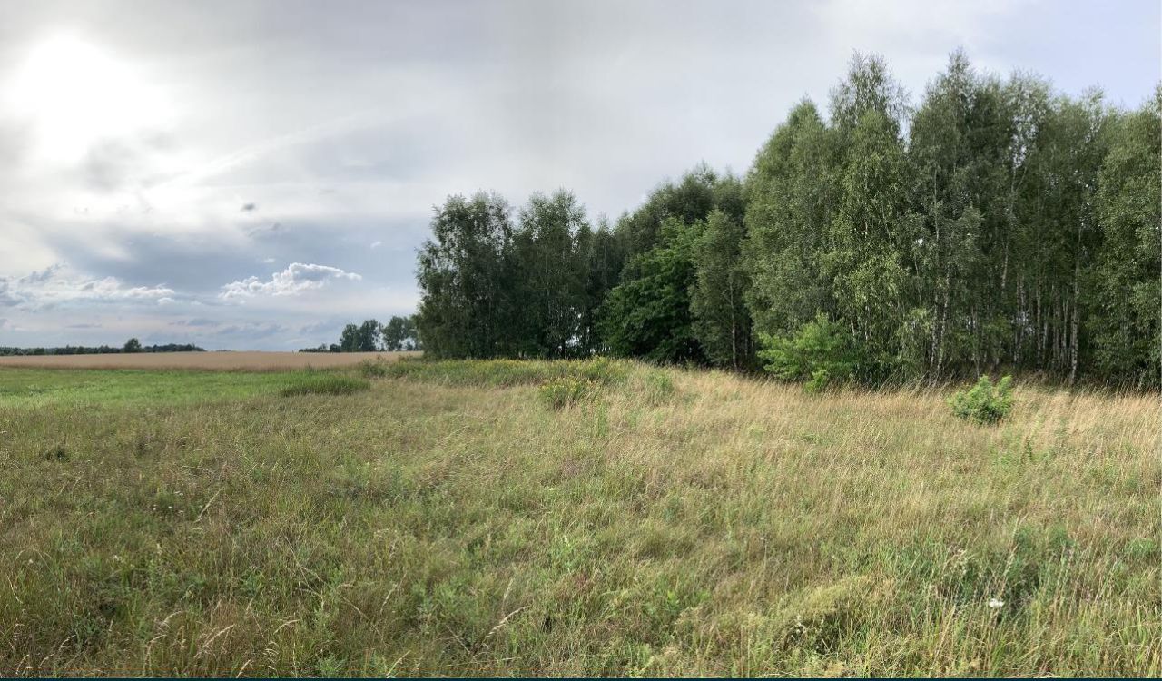 Działka rolna Broczyno. Zdjęcie 3