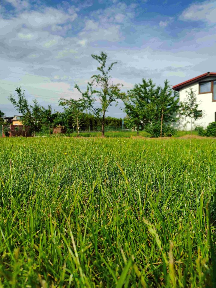 Działka rod Gdańsk Krakowiec, ul. Zawiślańska. Zdjęcie 4