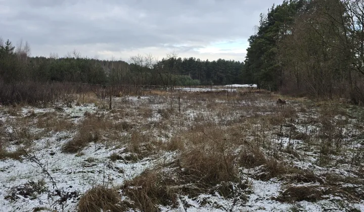 Działka budowlana Kolno, Kolno