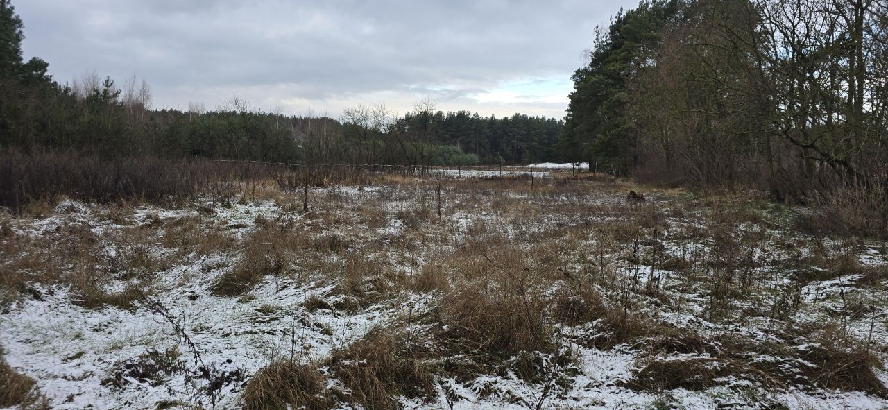 Działka budowlana Kolno, Kolno