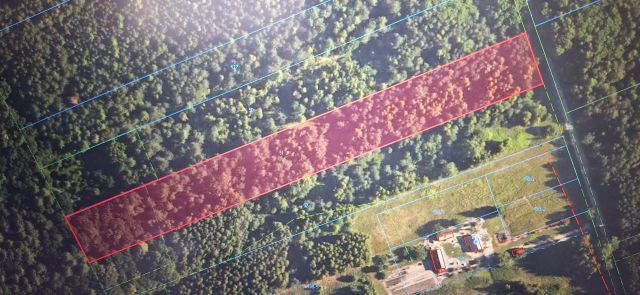 Działka leśna Lipsko-Polesie. Zdjęcie 1