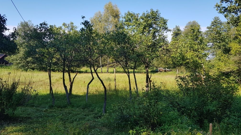 gospodarstwo Prądówka. Zdjęcie 8