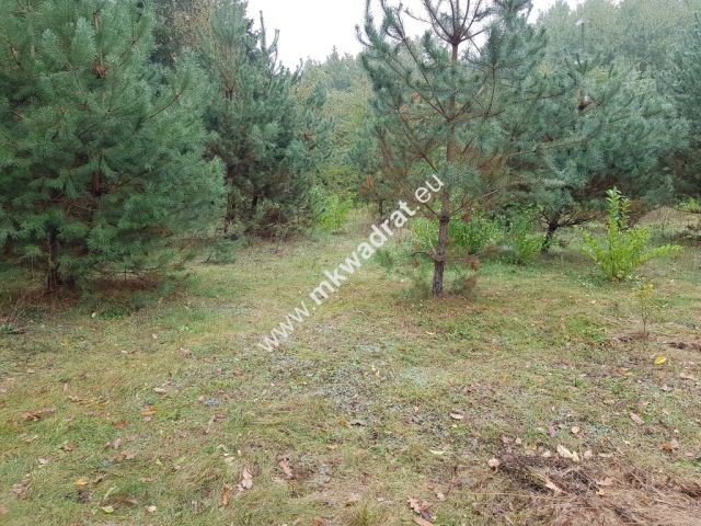 Działka budowlana Kanie. Zdjęcie 1