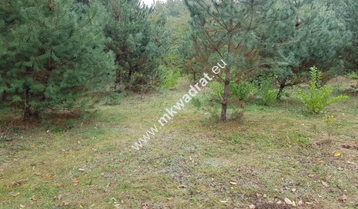 Działka budowlana Kanie