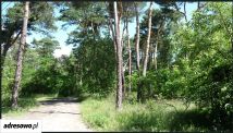 Działka budowlana Józefów Michalin, ul. Rejtana. Zdjęcie 2