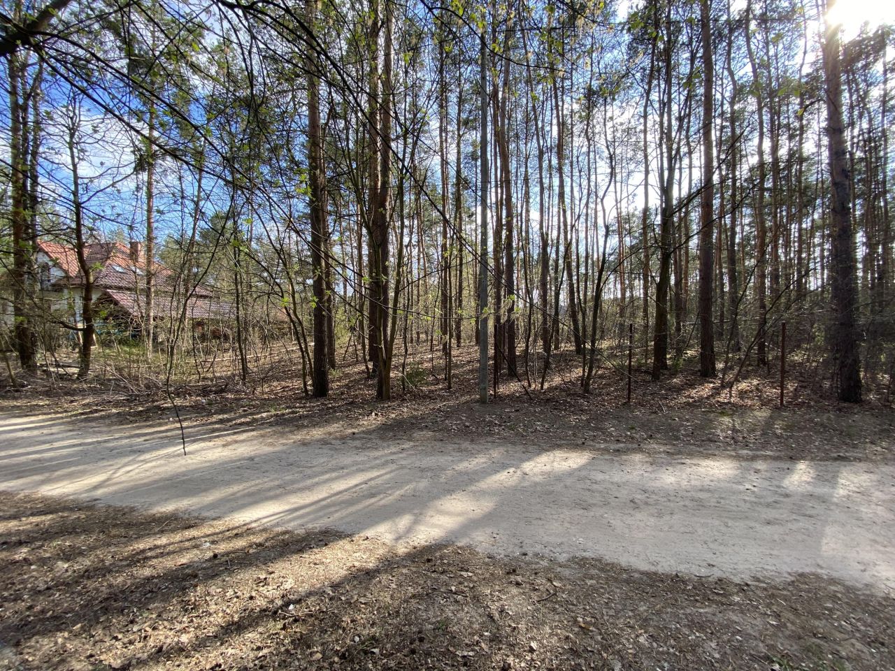 Działka leśna Legionowo, ul. Dębowa. Zdjęcie 5