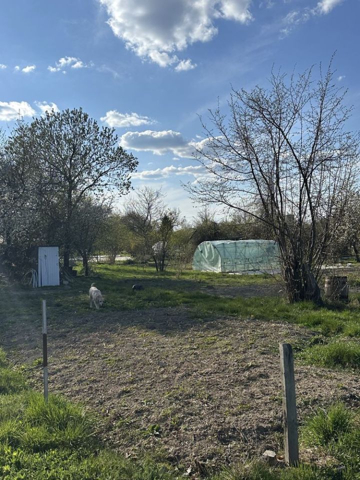 Działka rod Lublin. Zdjęcie 2