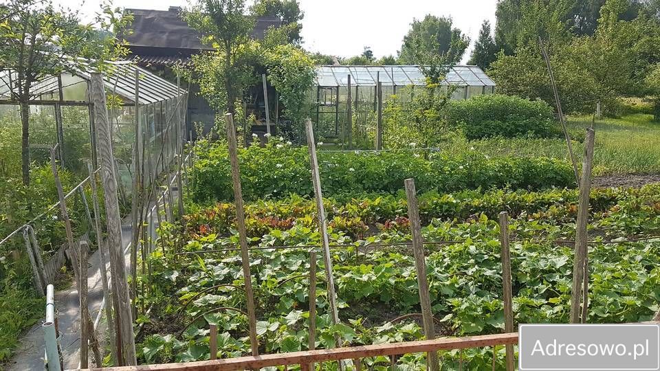 Działka rod Niekłonice. Zdjęcie 2