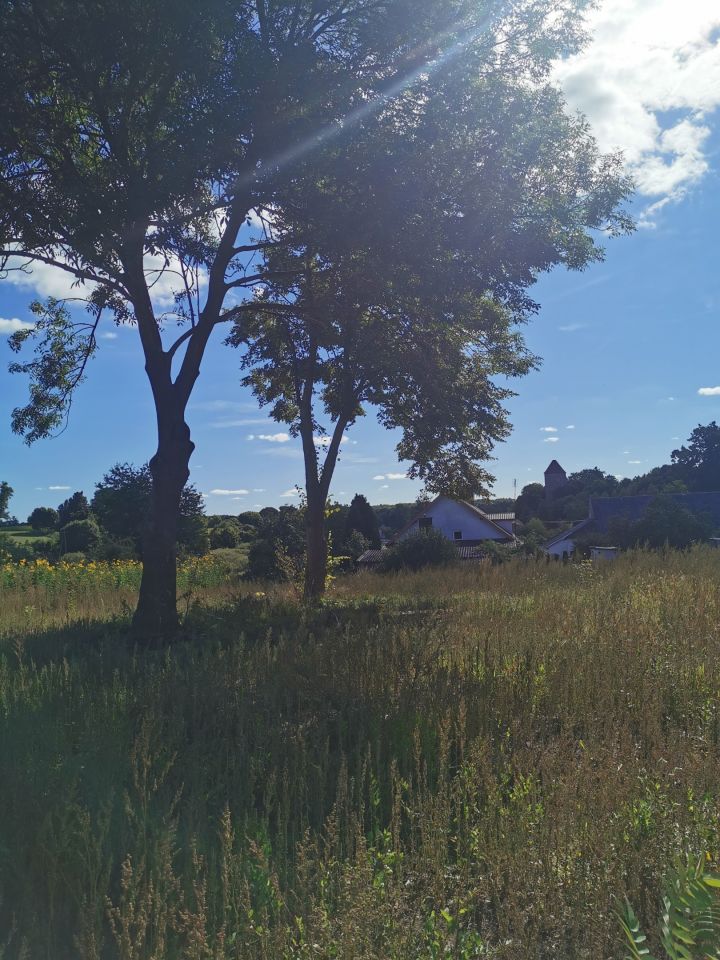 Działka inwestycyjna Przezmark. Zdjęcie 12