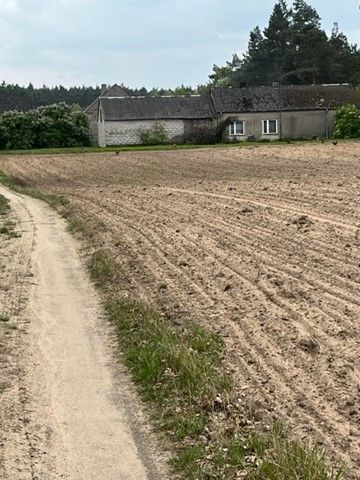 Działka siedliskowa Wierzbinek. Zdjęcie 2