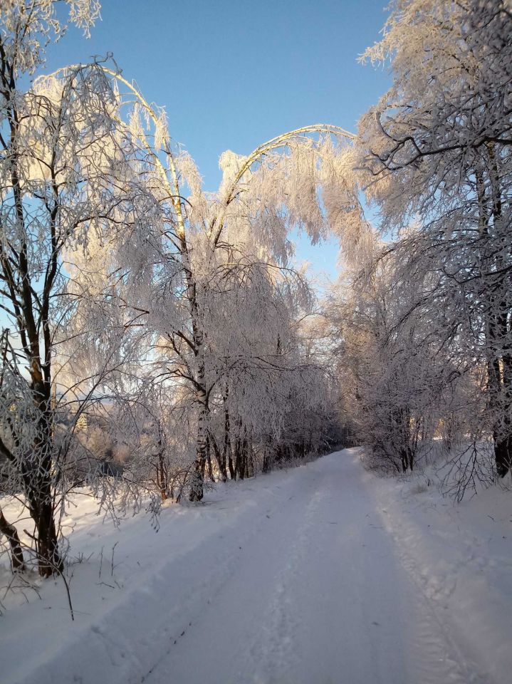 Działka siedliskowa Poniatów. Zdjęcie 5
