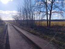 Działka rolna Nowa Wieś Lęborska. Zdjęcie 3