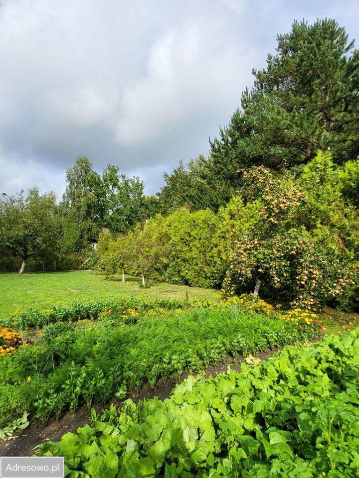 dom wolnostojący, 6 pokoi Kluczbork. Zdjęcie 16