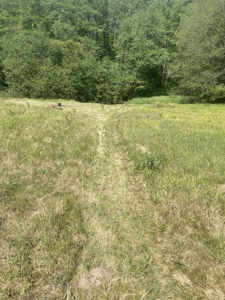 Działka rolna Miastko. Zdjęcie 6