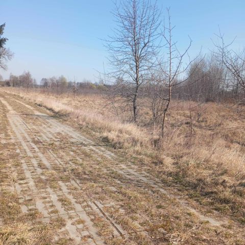 Działka rolno-budowlana Dąbrowa. Zdjęcie 1