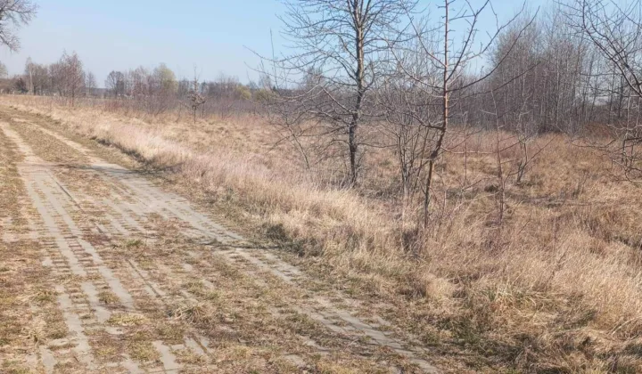 Działka rolno-budowlana Dąbrowa