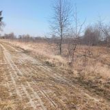 Działka rolno-budowlana Dąbrowa