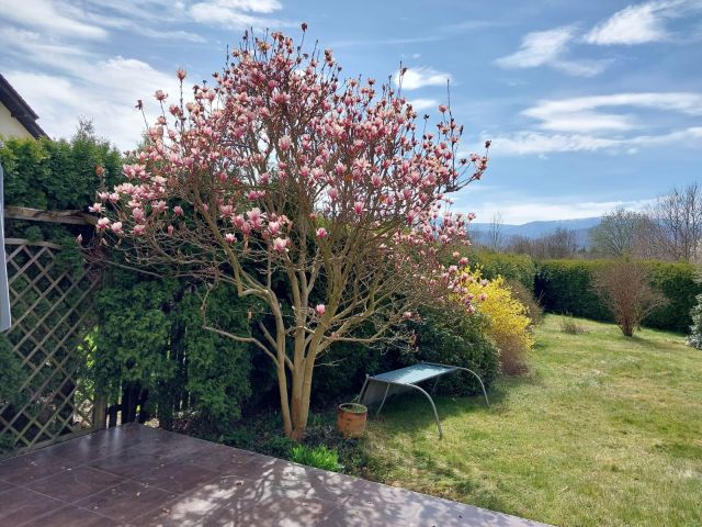 dom szeregowy, 5 pokoi Jelenia Góra Cieplice Śląskie-Zdrój. Zdjęcie 13