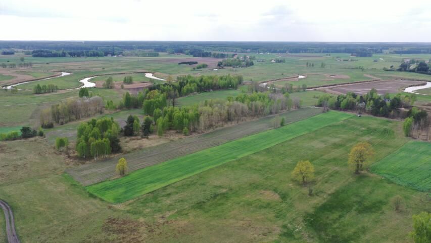 Działka rolno-budowlana Cieciory. Zdjęcie 5