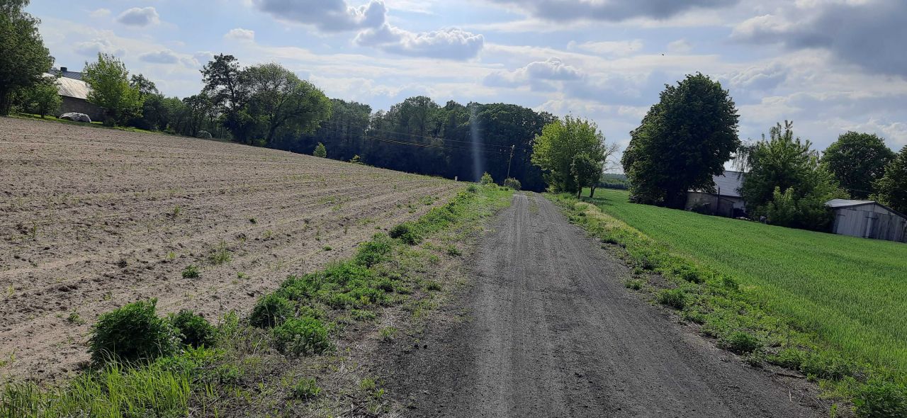 Działka budowlana Strobów. Zdjęcie 6