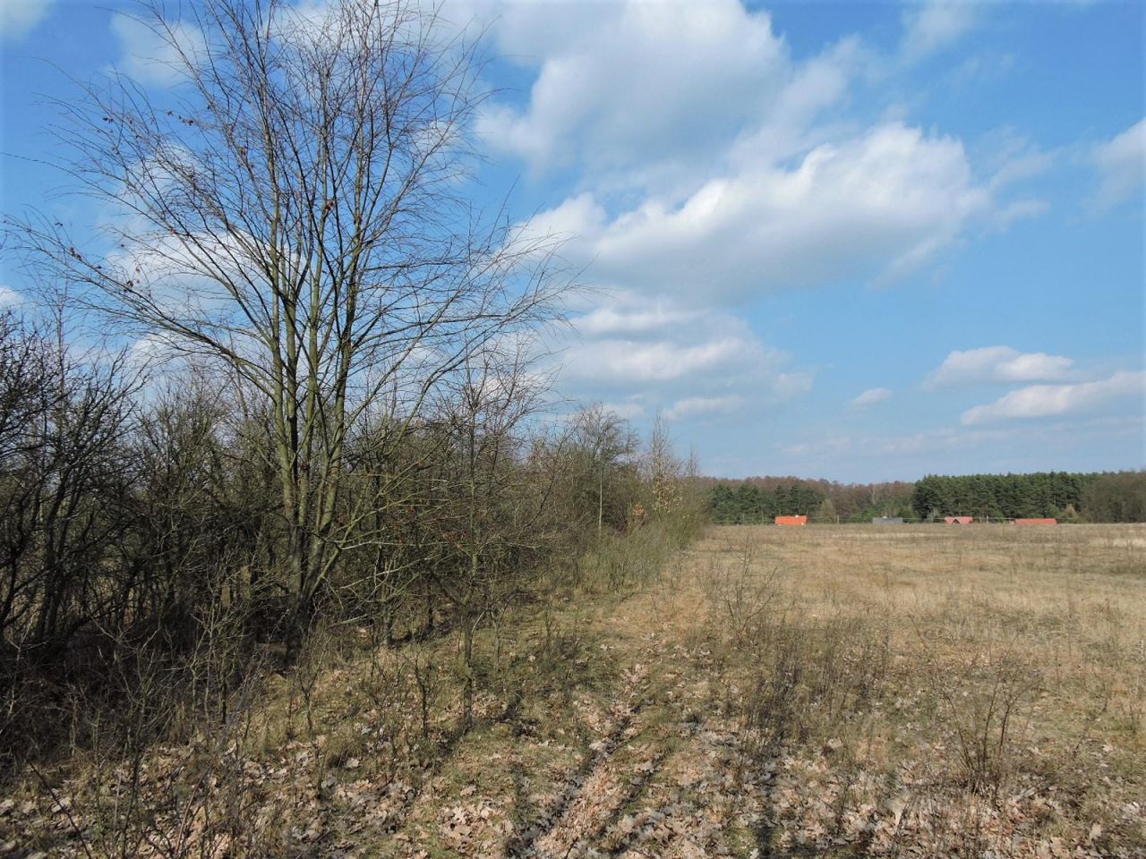 Działka rolno-budowlana Kępiaste. Zdjęcie 6