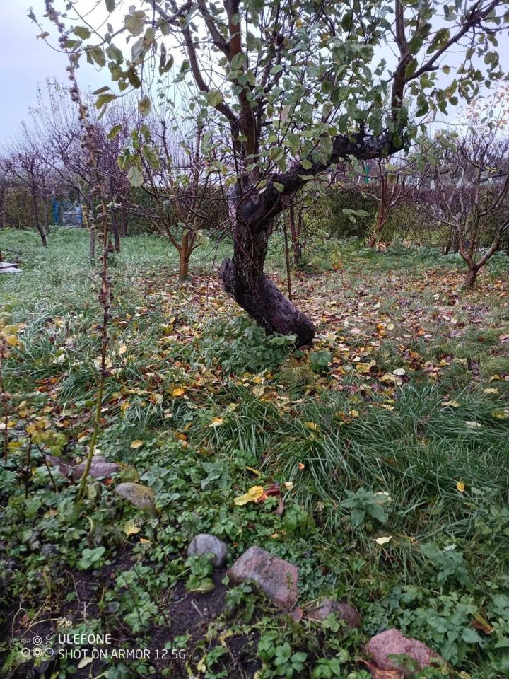 Działka rod Piła. Zdjęcie 5