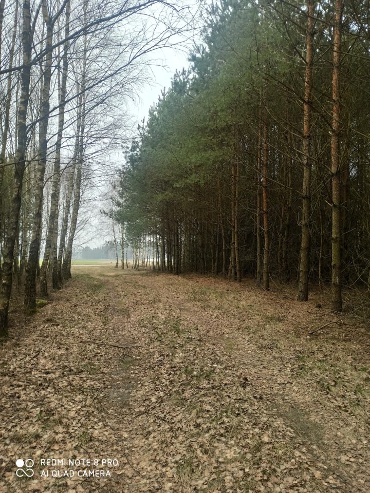 Działka inna Huta. Zdjęcie 11