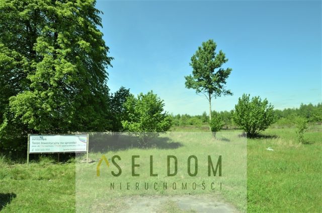 Działka inwestycyjna Grodziec. Zdjęcie 9