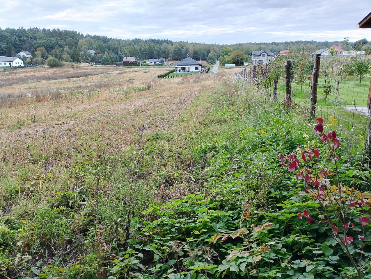 Działka budowlana Janów, ul. Adama Mickiewicza