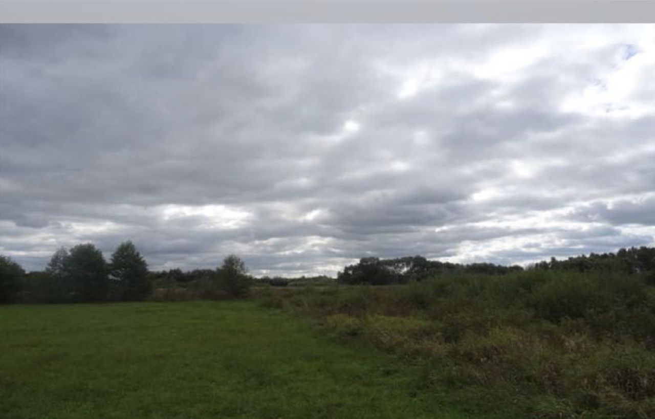 Działka rolna Kuflew. Zdjęcie 3