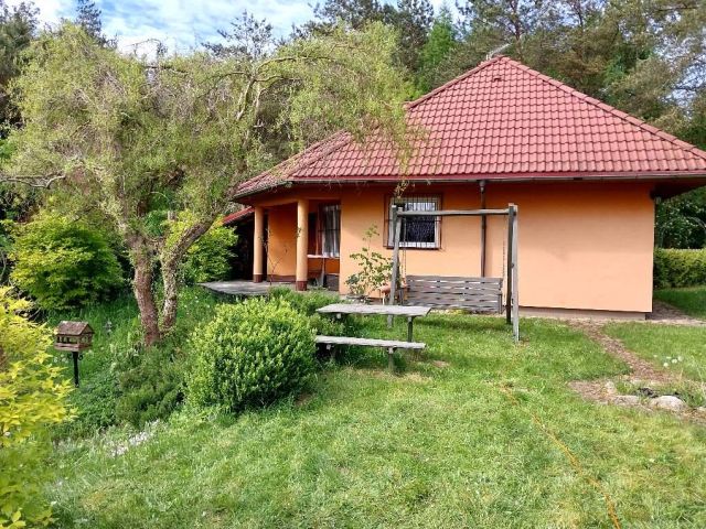 Działka rekreacyjna Skorzewo, w. Zdjęcie 1