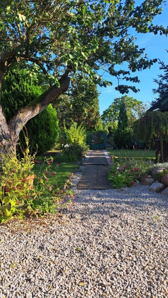 Działka rod Szamotuły. Zdjęcie 7