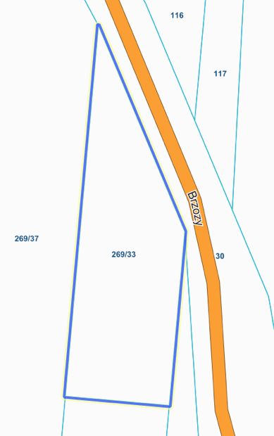Działka leśna Łosie, ul. Brzozy. Zdjęcie 2