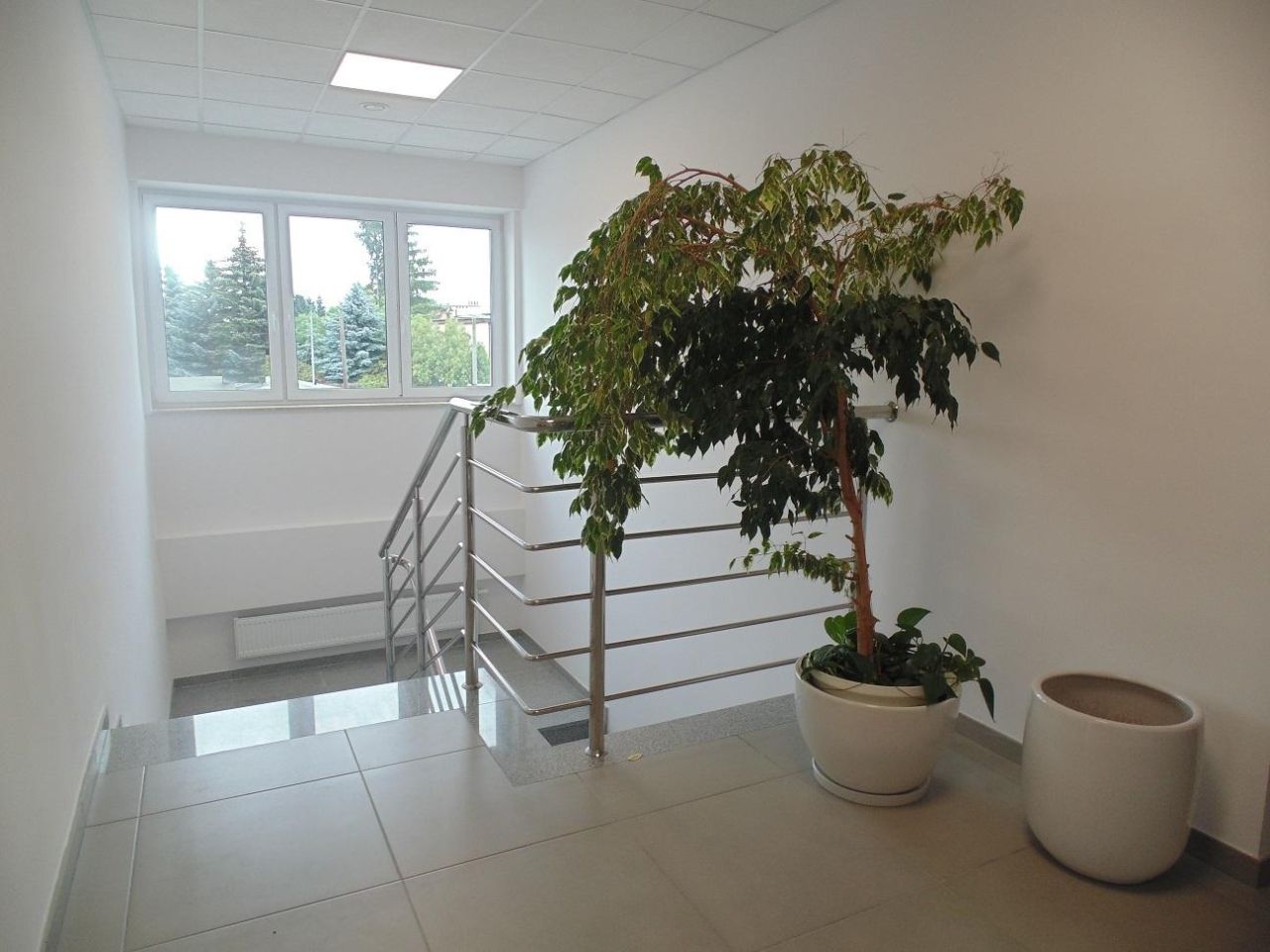 Lokal Rzeszów Śródmieście, ul. Mikołaja Reja. Zdjęcie 7