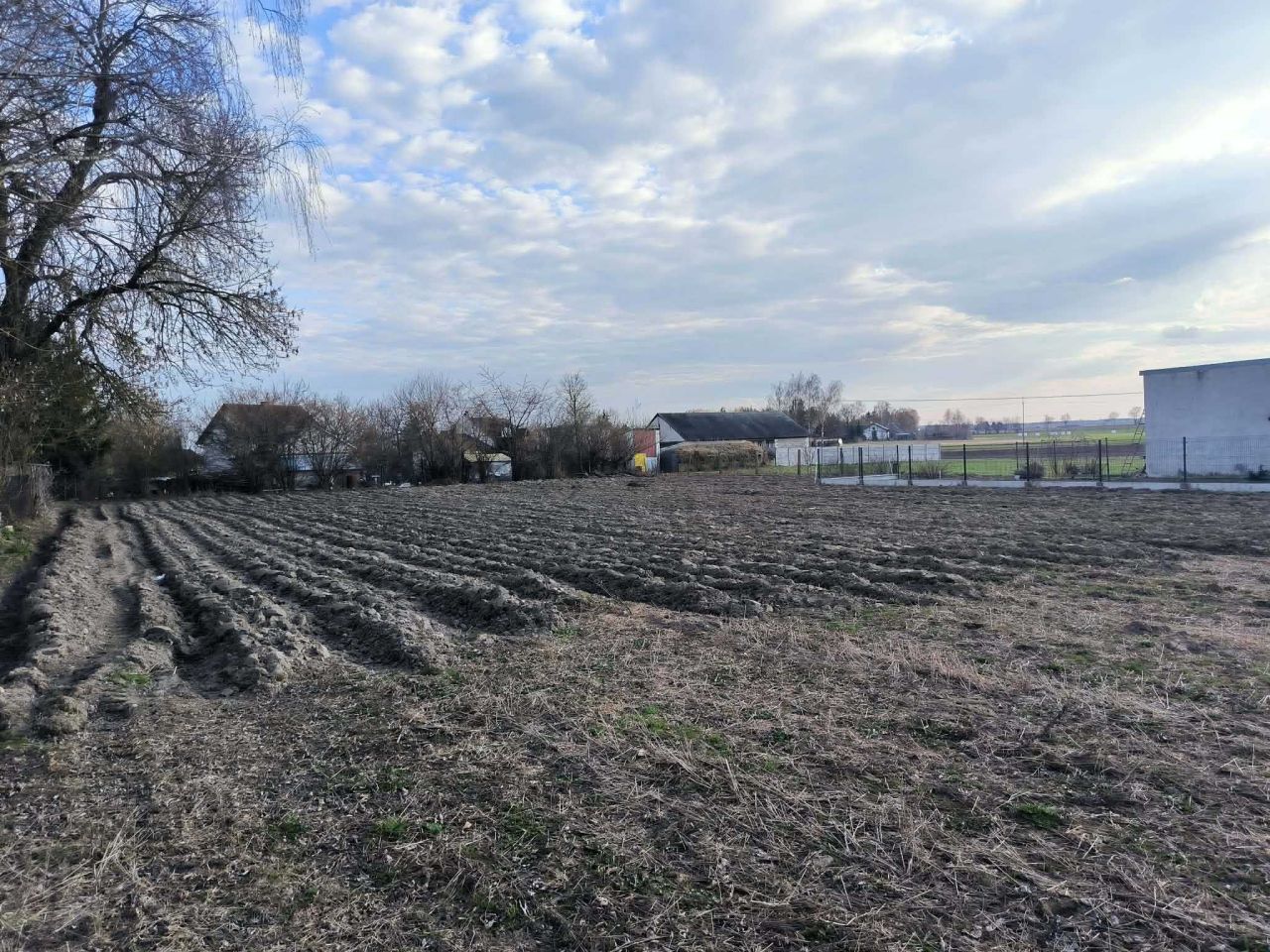 Działka budowlana Grzybowo. Zdjęcie 4