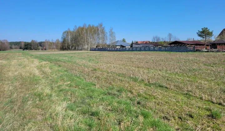 Działka rolno-budowlana Pławno, ul. Przedborska