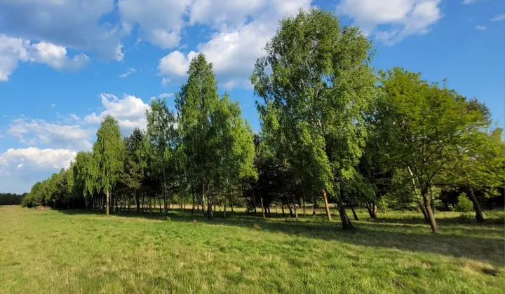 Działka budowlana Konary, ul. Brzozowa