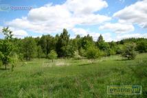 Działka inwestycyjna Tarnów. Zdjęcie 1