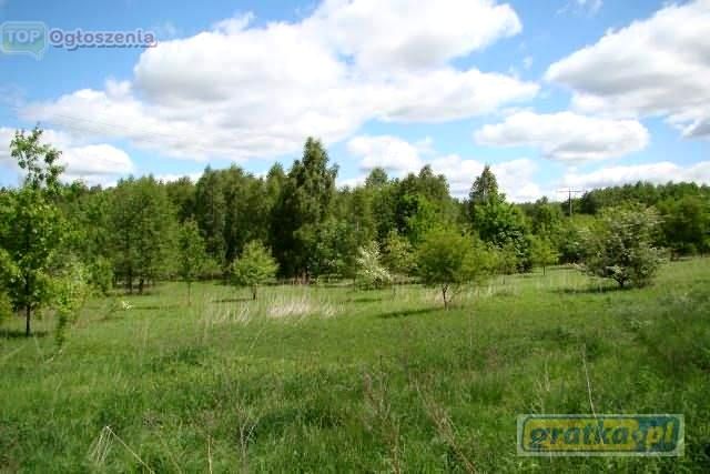 Działka inwestycyjna Tarnów. Zdjęcie 2