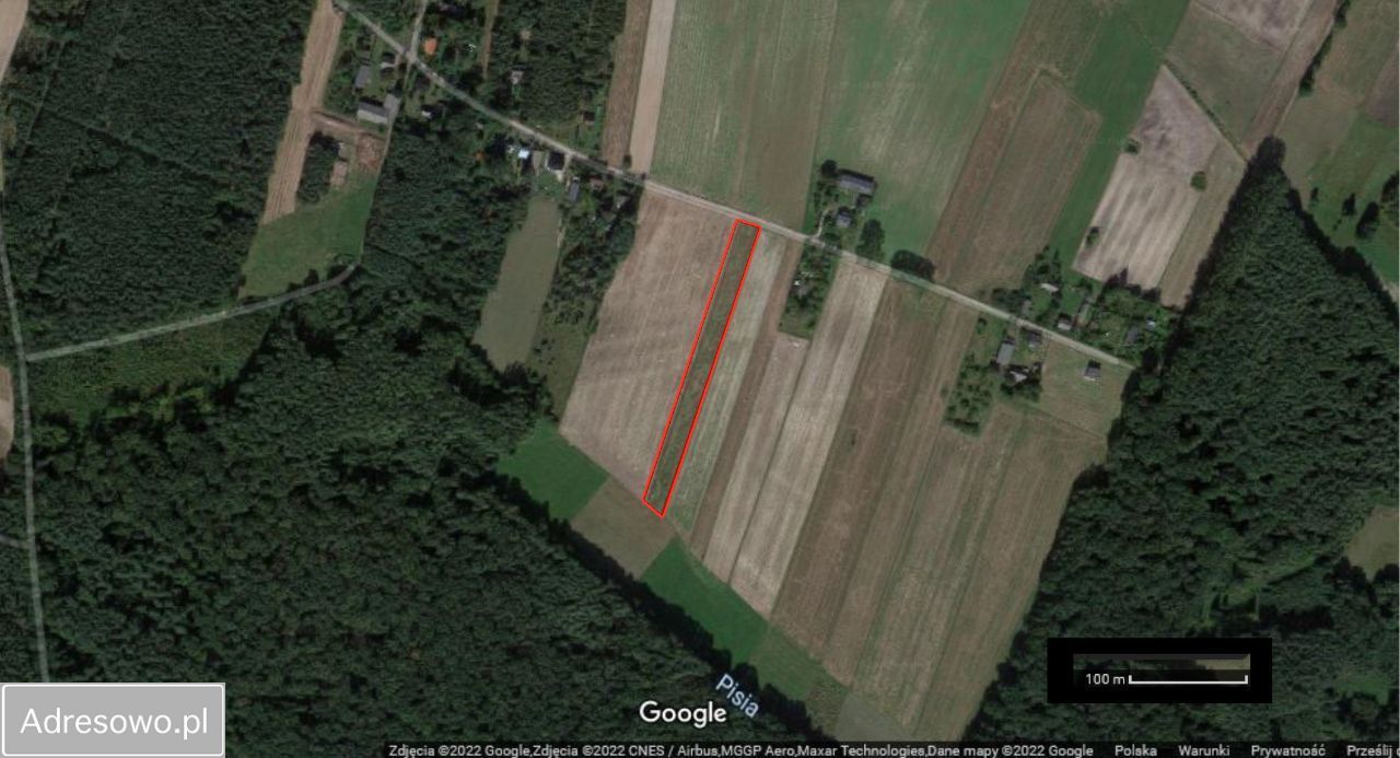 Działka rolna Przybyłów. Zdjęcie 6